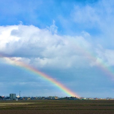 空さんのプロフィール画像