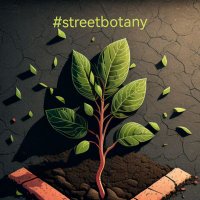 @StreetBotany(@streetbotany) 's Twitter Profile Photo