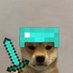 5hoes (@5hoestv) Twitter profile photo 5hoes (@5hoestv) Twitter profile photo