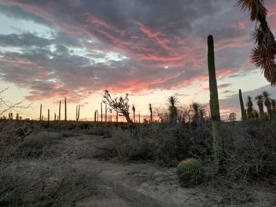 ALHD_paleob's profile picture. 