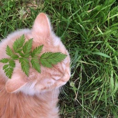 20 she/her
https://t.co/AlFIOISFXy
what is a twitter account if not a collection of fleeting yet priceless thoughts