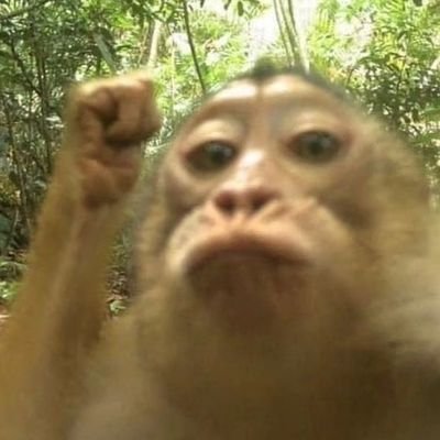 debukremasi's profile picture. 