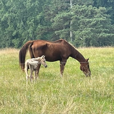 zhunikki818's profile picture. 