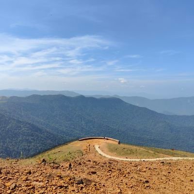 _shifa_07's profile picture. 