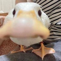 damien (@damien3x3) 's Twitter Profile