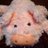 Breda81's profile image