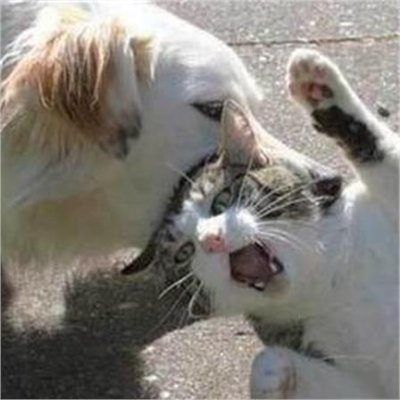 らぶぴーの武蔵まる🍌さんのプロフィール画像