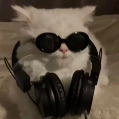 ninispov's profile picture. same person