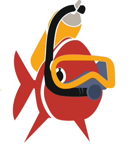 DsmDive's profile picture. Scuba Diving activities  5* PADI IDC on Gili islands Trawangan, Meno & Air. On Lombok we scuba dive, Sekotong and the west coast