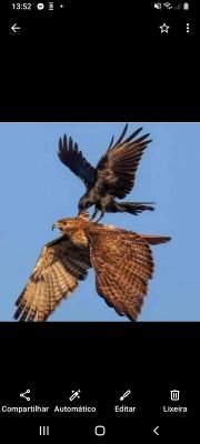 BayeuxOkd26230's profile picture. 