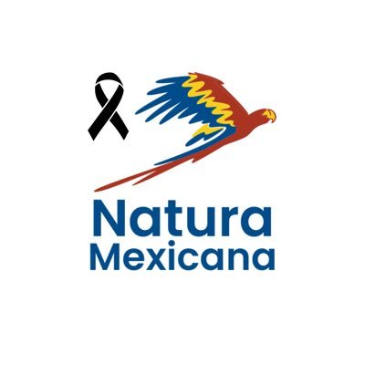 Natura y Ecosistemas Mexicanos, es una organización de la sociedad civil, comprometida con el rescate y protección del patrimonio natural de México.