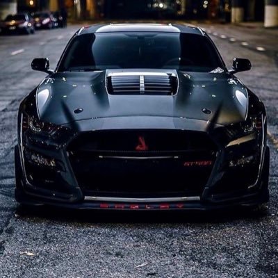 nunul0v's profile picture. Htx