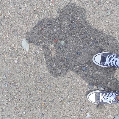 HernaezJosue's profile picture. 🌈🌈