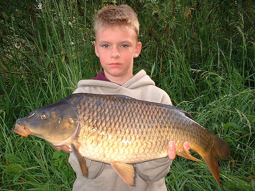 wilbertstolk's profile picture. Vissen/Alblasserdam