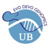 evodevogenomeUB's profile picture. Cañestro lab ICREA-Acadèmia @GeneticsUB @IRBioUB @UniBarcelona #EcoEvoDevo #Genomics #GeneLoss #Chordate #Tunicate #Oikopleura #HeartDevelopment #OceanHealth