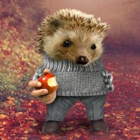 Thomas the hedgehog 🌏🇪🇺🇩🇪🇺🇦(@thokast) 's Twitter Profile Photo