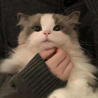 unatandayoyo's profile picture. 