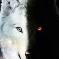 Immaculate (@immaculateview) 's Twitter Profile Photo Immaculate (@immaculateview) 's Twitter Profile Photo
