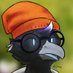 Roy (@roy_the_bird) Twitter profile photo Roy (@roy_the_bird) Twitter profile photo