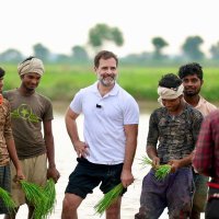Siddharth dadsena (@siddharthdadse1) 's Twitter Profile