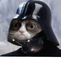 HODLitt🛡️ (@seana737) 's Twitter Profile Photo