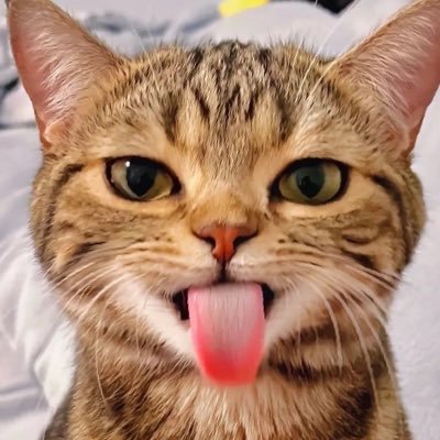 Mx 🌈さんのプロフィール画像