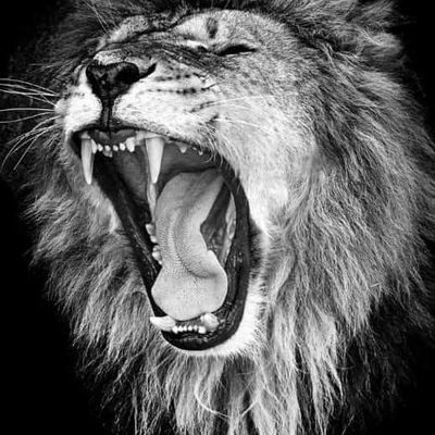 VictoryDunmiju's profile picture. web3 | upcoming web developer.
js, nodejs html/css I am optimistic about good things,
and focused on harnessing opportunities
#web3 #webdev #airdrop