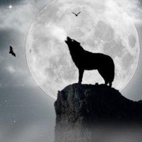 Fid Laf (@1fidlaf) 's Twitter Profile Photo