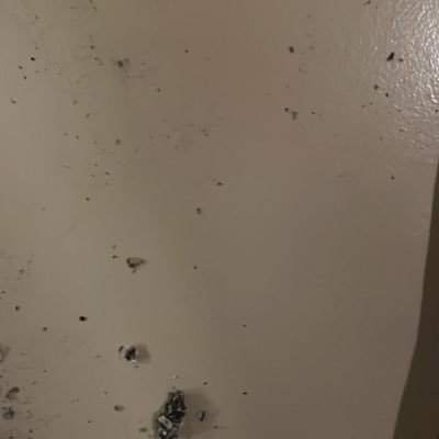 mrfun6971's profile picture. 