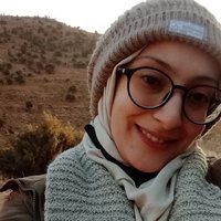 Zineb El Idrissi 🇲🇦❤️🇵🇸 (@edzen00) Twitter profile photo