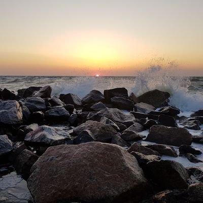 zdanowski_jan's profile picture. 