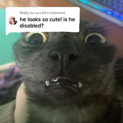 _Junosuu's profile picture. What am i doing
Flaro's brother