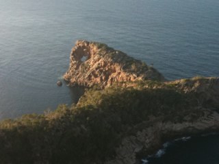 ManuelCoeto's profile picture. tengo dudas!!...si o no!!