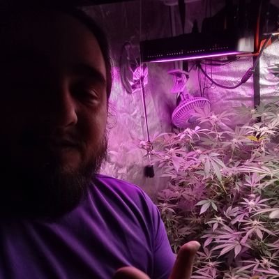 Streamer, Cannabis grower, MS Warrior im here to show my growing adventures #growyourown find me on discord DrDabbin for a invite to @tedsmarijuana