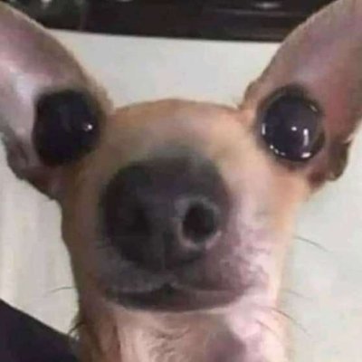 tutostalatero's profile picture. 