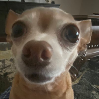 JuanESanabria1's profile picture. what am i doing