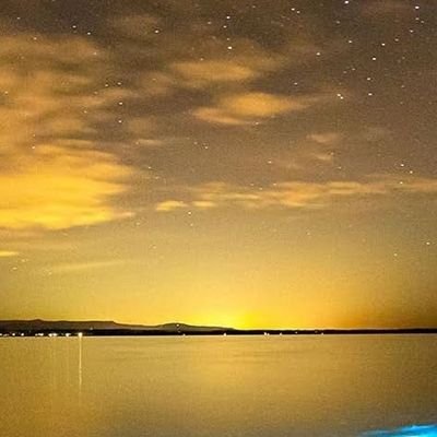 allybesa_'s profile picture. 