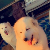 Turboe4truth 🇺🇦🇺🇦🇺🇦🇺🇦🇺🇦 (@turboe4truth) 's Twitter Profile Photo Turboe4truth 🇺🇦🇺🇦🇺🇦🇺🇦🇺🇦 (@turboe4truth) 's Twitter Profile Photo