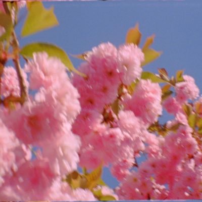 jkatulak's profile picture. I’m all over the place // UWS 📍// Skate // Work 🎥 🗜🔌 // #LGM // $PLTR $RKLB