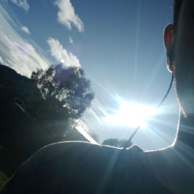 Mitch28462's profile picture. 