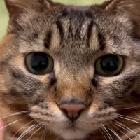 emiran (@kouponmama) 's Twitter Profile Photo