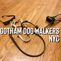 Gotham Dog Walkers(@GothamDogWalker) 's Twitter Profile Photo