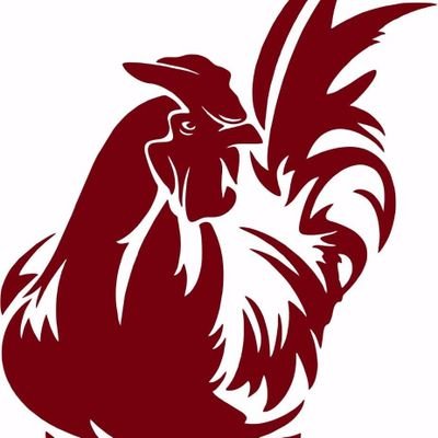 RoosterSpy Profile Picture