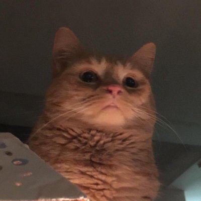 NelsonGomez_M's profile picture. 