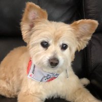 Leslie (@doodlebug0330) 's Twitter Profile