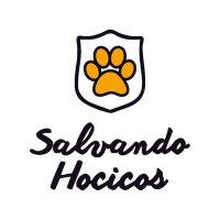 Salvando Hocicos Paraguay(@salvandohocicos) 's Twitter Profile Photo