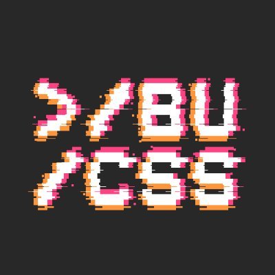 BU Computing & Security Society Profile