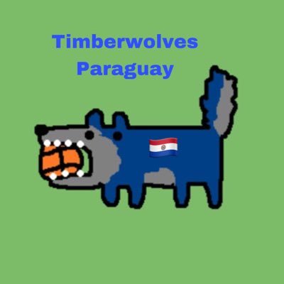 Cuenta de los Minnesota Timberwolves en Paraguay, noticias, rumores, y resultados del equipo mas querido por todos