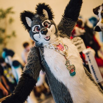 FenrirSabre Profile Picture