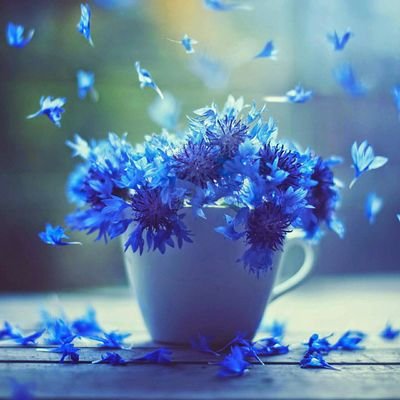 sugarbsnowoo's profile picture. 